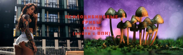мефедрон мука Нефтекумск