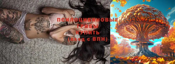 apvp Нефтегорск